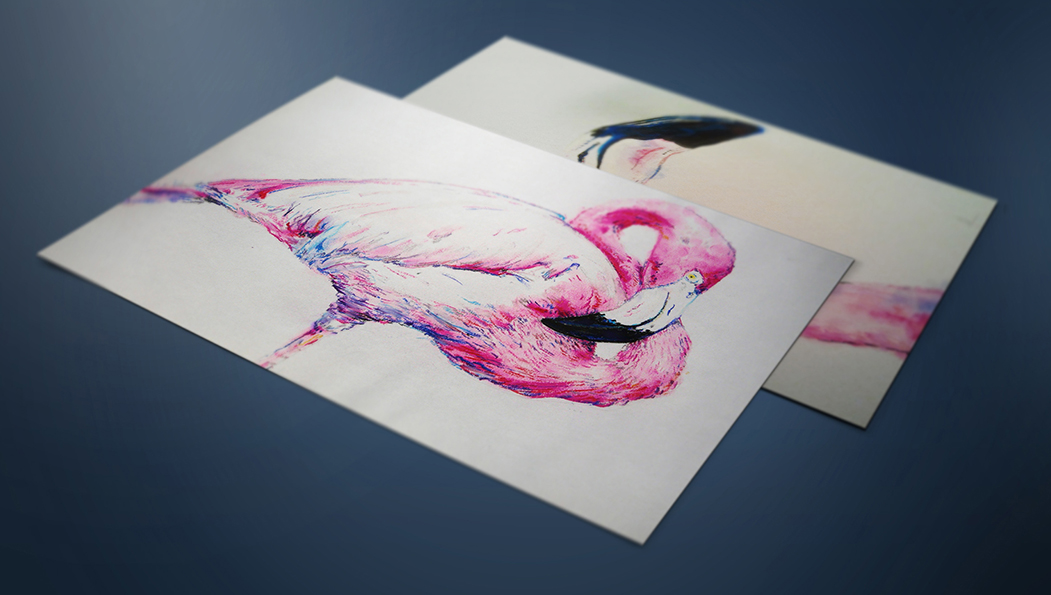 Ilustración, Diseño y Dirección de Artes Gráficas - Gabriela de la Serna