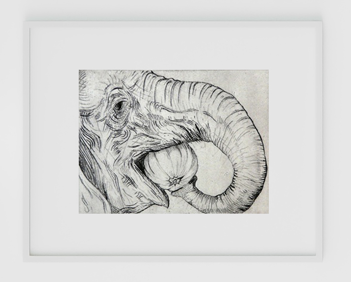 Dibujo y Arte - Grabado - Gabriela de la Serna